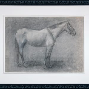 Drawing of Horse by Kate Smith Hoole
