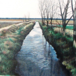 Ripples in the Lowlands by Deborah Murphy