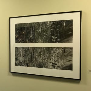 Saint John, Positive/Negative #6 by Denise Bosco