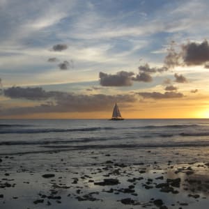 Barbados Sunset by Diane L. Onak, Rn