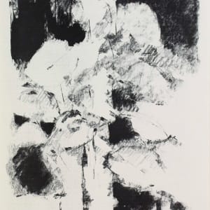 Still Life with Dark & Light by Joel Goldblatt