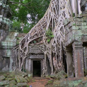 Angkor Ruins by Tri A. Dinh, MD