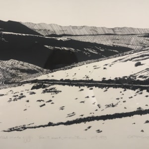 Rolled Make Offer, Trout Creek Mountains Oct. 1973 by Michael S. Moore 