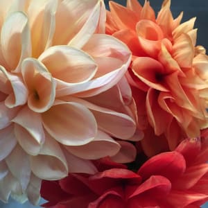 Floral Folds by Kimberley DuBose