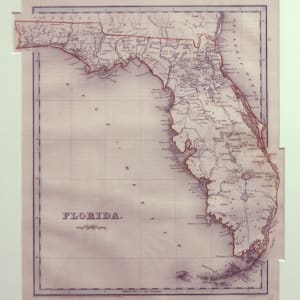 Florida by G.W. Boynton