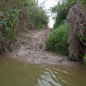 Riverbank (Ribera), from the portfolio Borders and Belonging by Susan Harbage Page