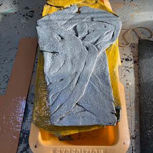 Expedition by Duncan Hewitt