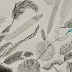 Bird of a Feather by Arminée Chahbazian  Image: Detail B&W feathers