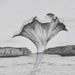 Here, It, Comes by Arminée Chahbazian  Image: Detail 1