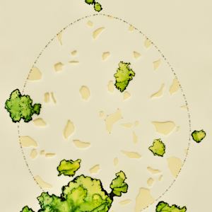 Inside Out by Arminée Chahbazian