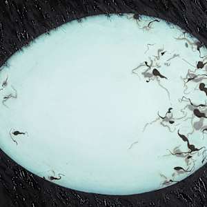 Planet Agelaius Phoeniceus (red-winged blackbird) by Arminée Chahbazian 