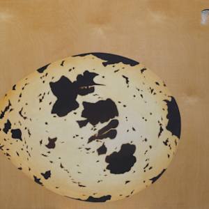 Planet Callipepla (California Quail) by Arminée Chahbazian