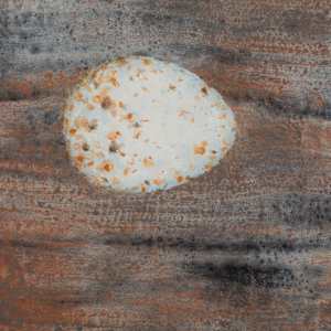 Planet Catherpes Mexicanus (canyon wren) by Arminée Chahbazian 