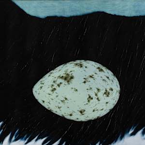 Planet Corvus Brachyrhynchos (American crow) by Arminée Chahbazian, Image 1.