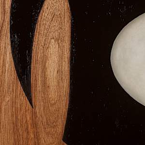 Planet Dryocopus Pileatus (pileated woodpecker) by Arminée Chahbazian 