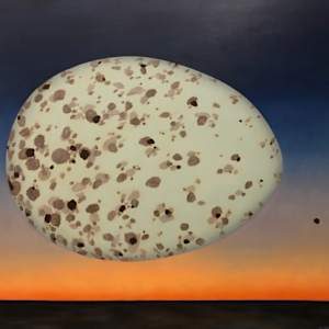 Planet Larus Californicus  (seagull) by Arminée Chahbazian