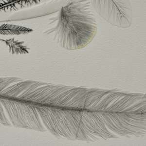 Bird of a Feather by Arminée Chahbazian  Image: Detail - feather man
