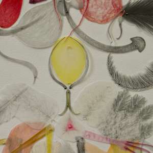 Bird of a Feather by Arminée Chahbazian  Image: Detail - innards