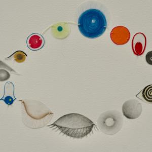 Bird of a Feather by Arminée Chahbazian  Image: Detail - left eye