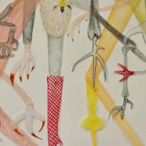 Bird of a Feather by Arminée Chahbazian  Image: Detail - legs & feet