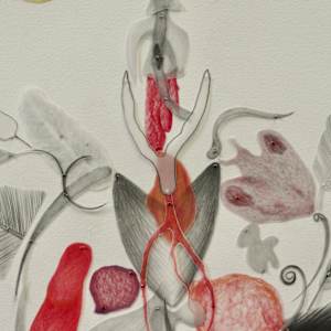 Bird of a Feather by Arminée Chahbazian  Image: Detail - wishbone