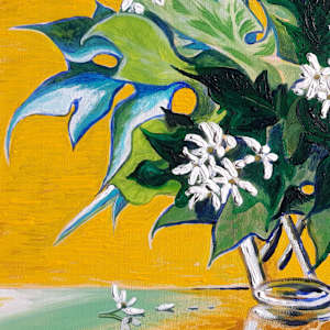 Tree Daisy by Jasmine O'Shea 