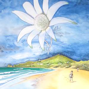 Floating Flannel Flower by Jasmine O'Shea