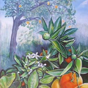 Orange Tree by Jasmine O'Shea