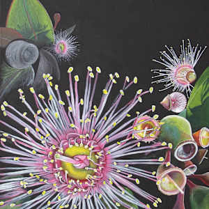 Eucalyptus by Jasmine O'Shea