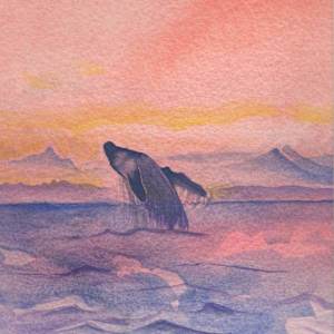 Peach Sunset Whale by Jasmine O'Shea
