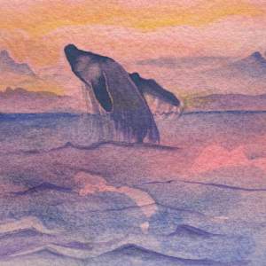 Peach Sunset Whale by Jasmine O'Shea 