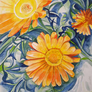 Calendula by Jasmine O'Shea