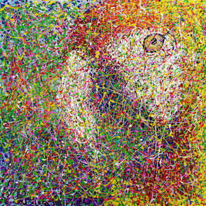 Colorful Watcher by Dr Lowly (Low Lee Yong)