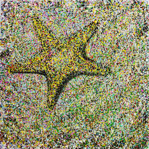 Star Resilience by Dr Lowly (Low Lee Yong)