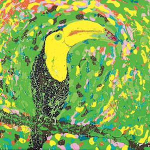 Tranquil Toucan by Dr Lowly (Low Lee Yong)