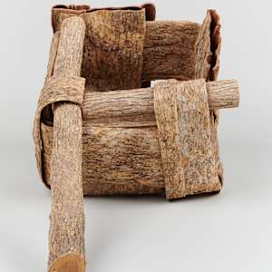 Elm Bark Box by Dorothy Gill Barnes  Image: Photo credit: Alexis Oltmer