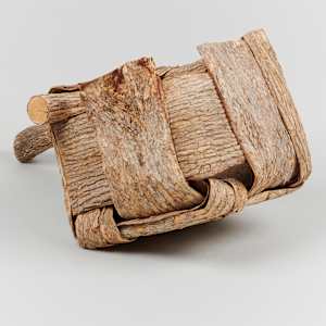 Elm Bark Box by Dorothy Gill Barnes  Image: Photo credit: Alexis Oltmer