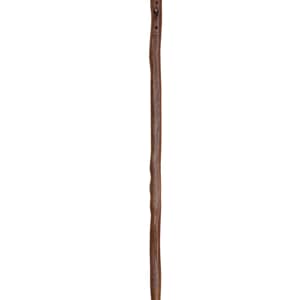 Walking Stick by Steve Madsen