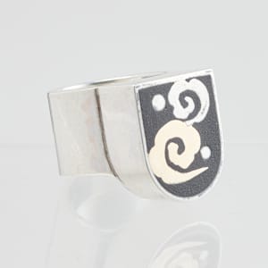 Ring by Hiroko Swornik  Image: Photo credit: Alexis Oltmer
