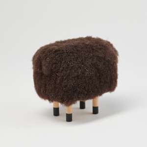 Black Sheep by Phil Geraci  Image: Photo credit: Alexis Oltmer