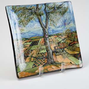 Tray by Mary Vaughn  Image: Photo credit: Alexis Oltmer