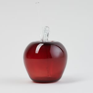 Red Apple Cider Cup with Straw by Brian Lonsway  Image: Photo credit: Alexis Oltmer