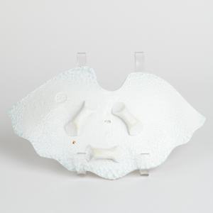 Tray by Ellen Grenadier  Image: Photo credit: Alexis Oltmer
