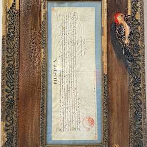 Pius by Golsa Gochini