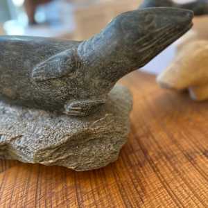 Basking Seal - Greenstone and Basalt by Richard Arnold 