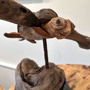 Turtle by Larry Ringgold