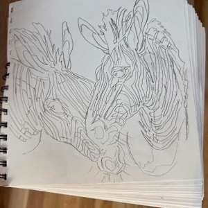 Zebras by Dejana Nezic 