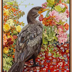 Tohopa - Double-crested Dormorant by Fiona Smith, Image 1.
