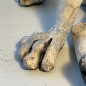 Raku Sitting Hound by Christine Cummings, Image 3.