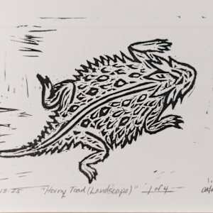 Horny Toad by Adrián González Molina